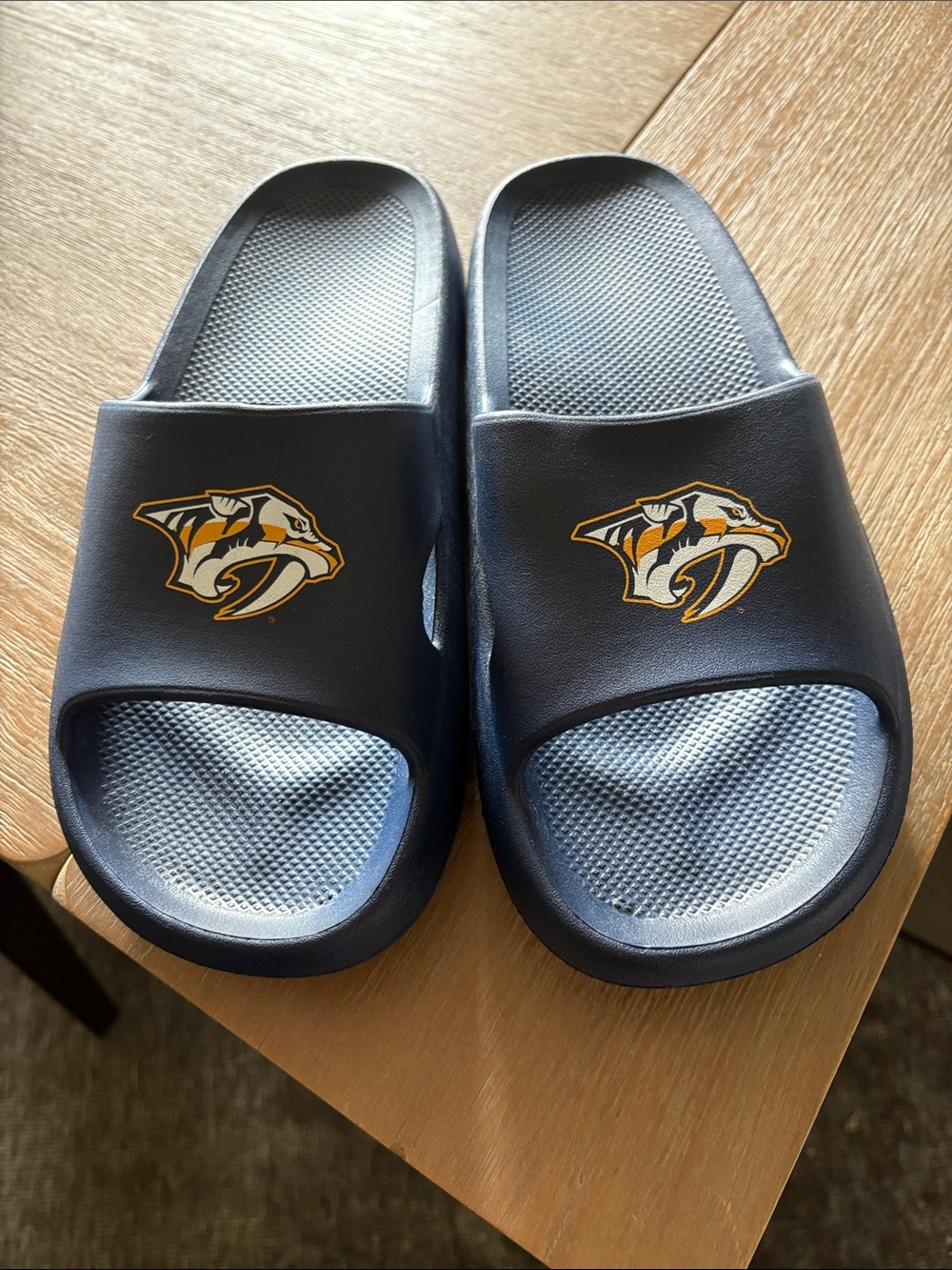 NASHVILLE PREDATORS SLIDES